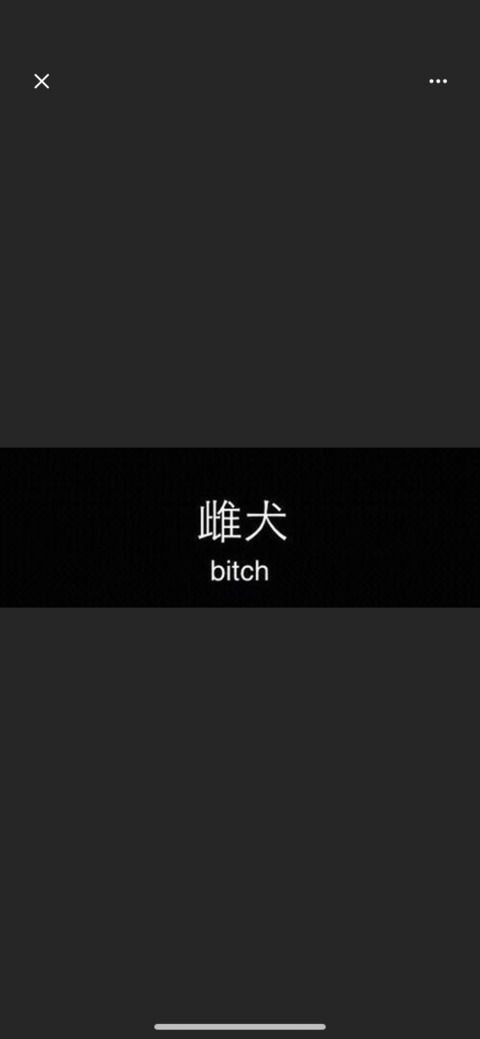 Header of kitty_galore