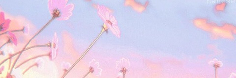 Header of kitty_kettt