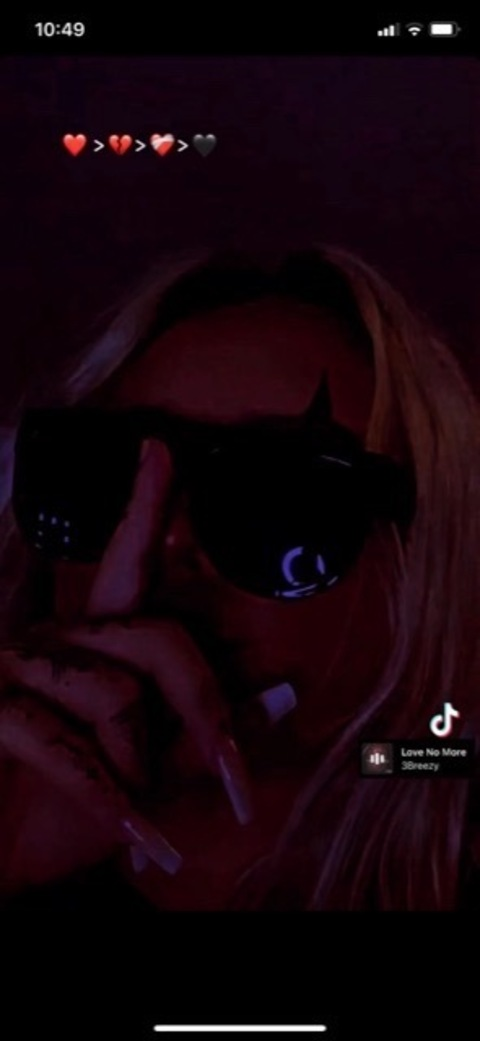 Header of kittykat_007