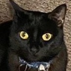 kneecap kneecap Leaks OnlyFans 

 profile picture