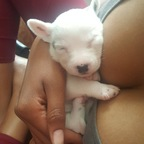 Onlyfans leaks kreme 

 profile picture