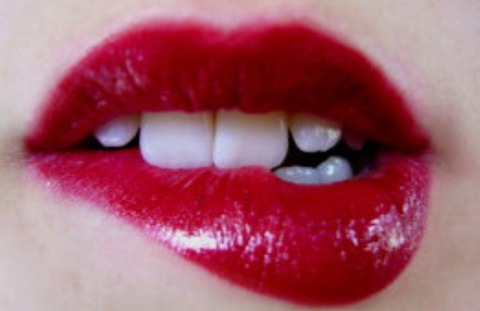 Header of l0laf0x