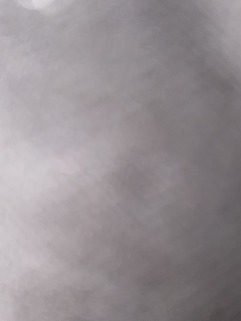 Header of lamariposax