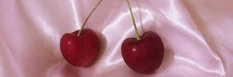 Header of latina_rhi