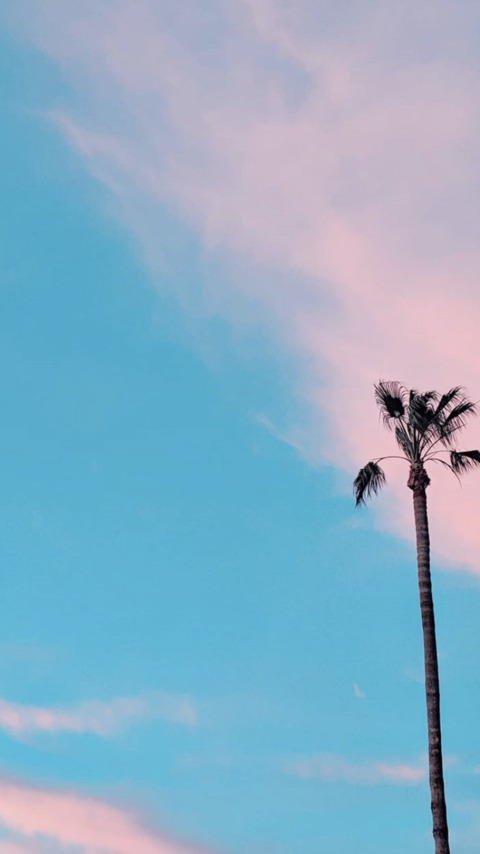 Header of laurenjfitfree