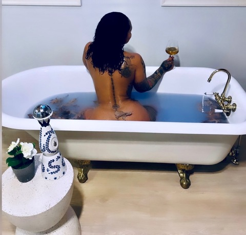 Header of layii_oficial