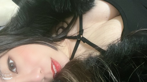 Header of lazygunter