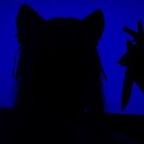 Onlyfans leak lilash 

 profile picture