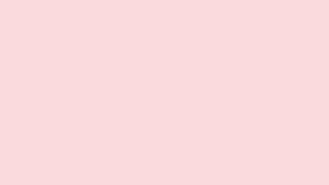 Header of lilly_pilly