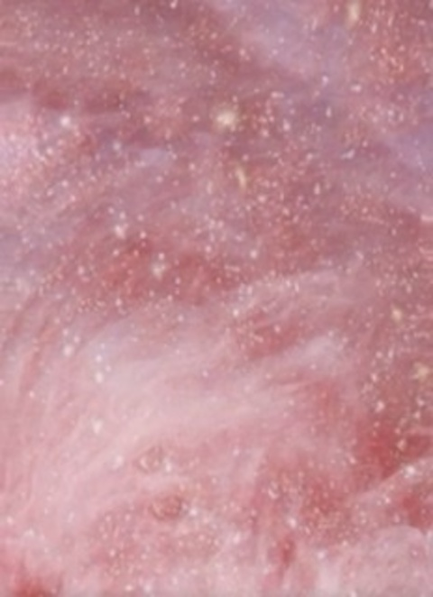 Header of lineli