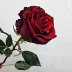 Lolaebunny lolaebunny Leaks OnlyFans 

 profile picture