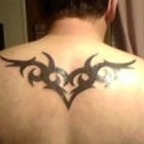 louisianatexan (BigTexas) OnlyFans Leaked Pictures & Videos 

 profile picture