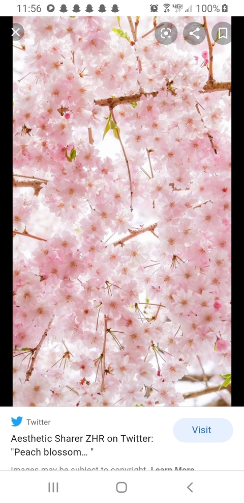 Header of loveriley