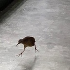 Onlyfans leak luvlexixoxo 

 profile picture