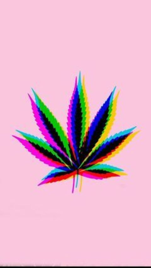 Header of lxnton
