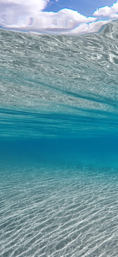 Header of madamxunique