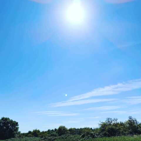 Header of mademoisellea