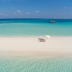 Download maldives OnlyFans leaks for free 

 profile picture