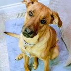 mashedpotato (J. Tay) OnlyFans Leaks 

 profile picture