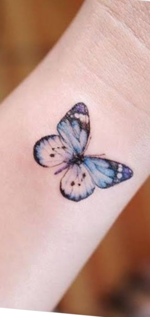 Header of mayaraujo54