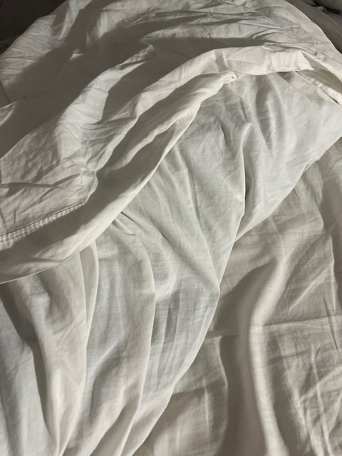 Header of michelapennisi