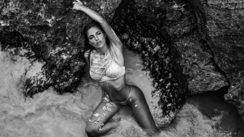 Header of milicastagnetof