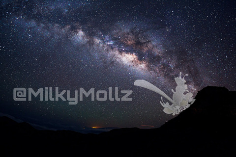 Header of milkymollz