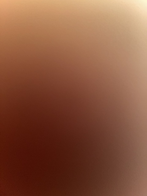 Header of miss_blondiexx