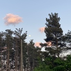 mmaaddii (Maddi) free OnlyFans Leaks 

 profile picture