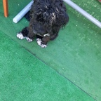 MOLLY (molly_21) Leak OnlyFans 

 profile picture