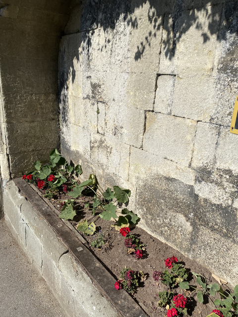 Header of mollykatrina