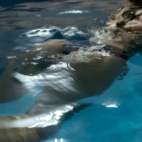 Header of mychelleblue