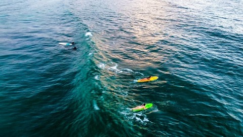 Header of natur3nymph