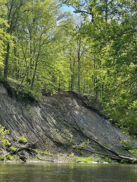 Header of naturegal333