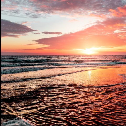 Header of nauti_dreams