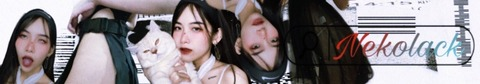 Header of nekolack