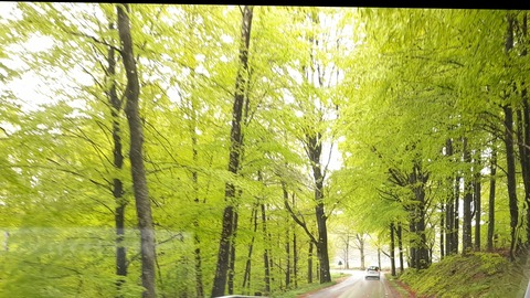 Header of nevesspace