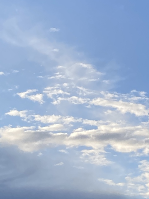 Header of nicefootpic
