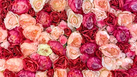 Header of ninabebike.free