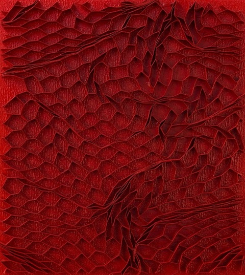 Header of ninaxxxxnn