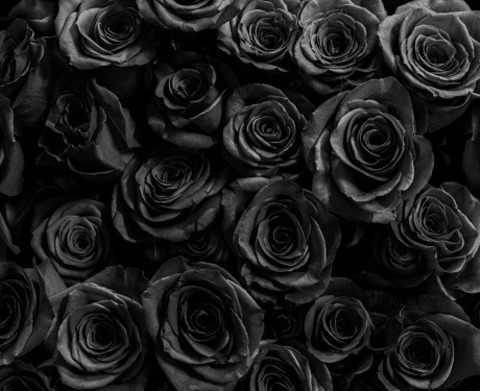 Header of nomeddaed