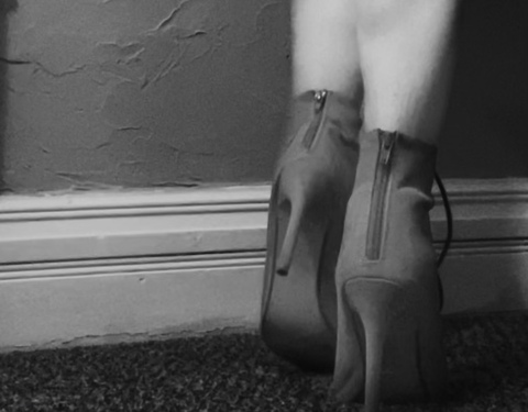 Header of okaybunny