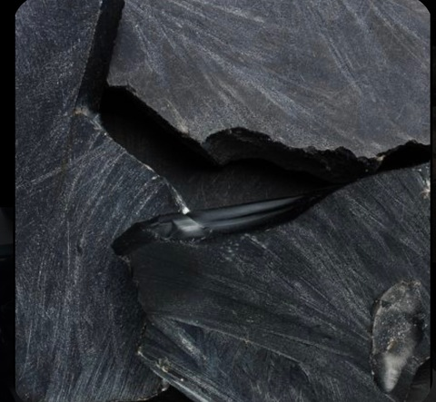 Header of onyxisyours