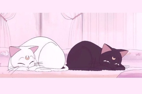 Header of p0cketwhre