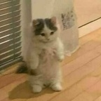panida OnlyFans Leaked 

 profile picture