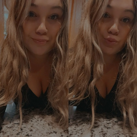 Header of paradiselane