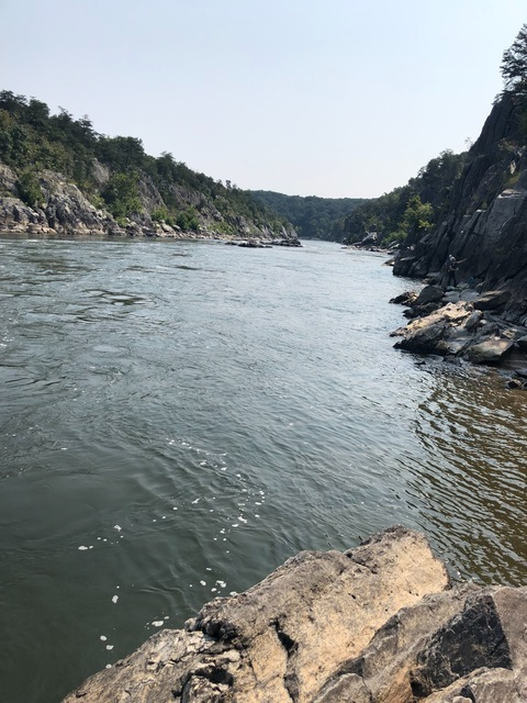 Header of paramoregay1080