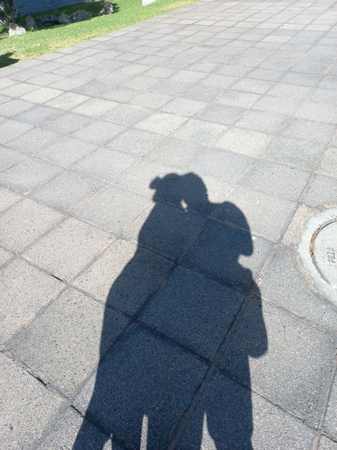 Header of pareja_dyagdl