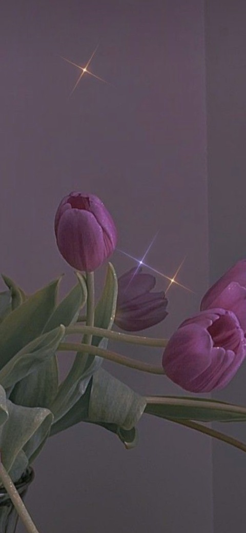 Header of pawgzillaa