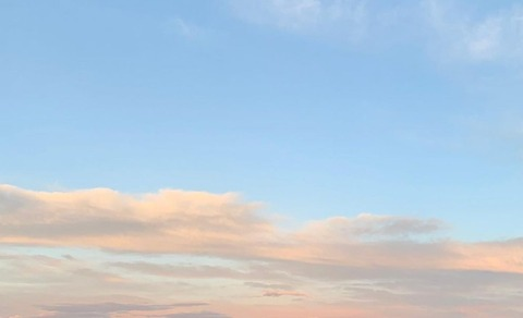 Header of peacheznextdoor